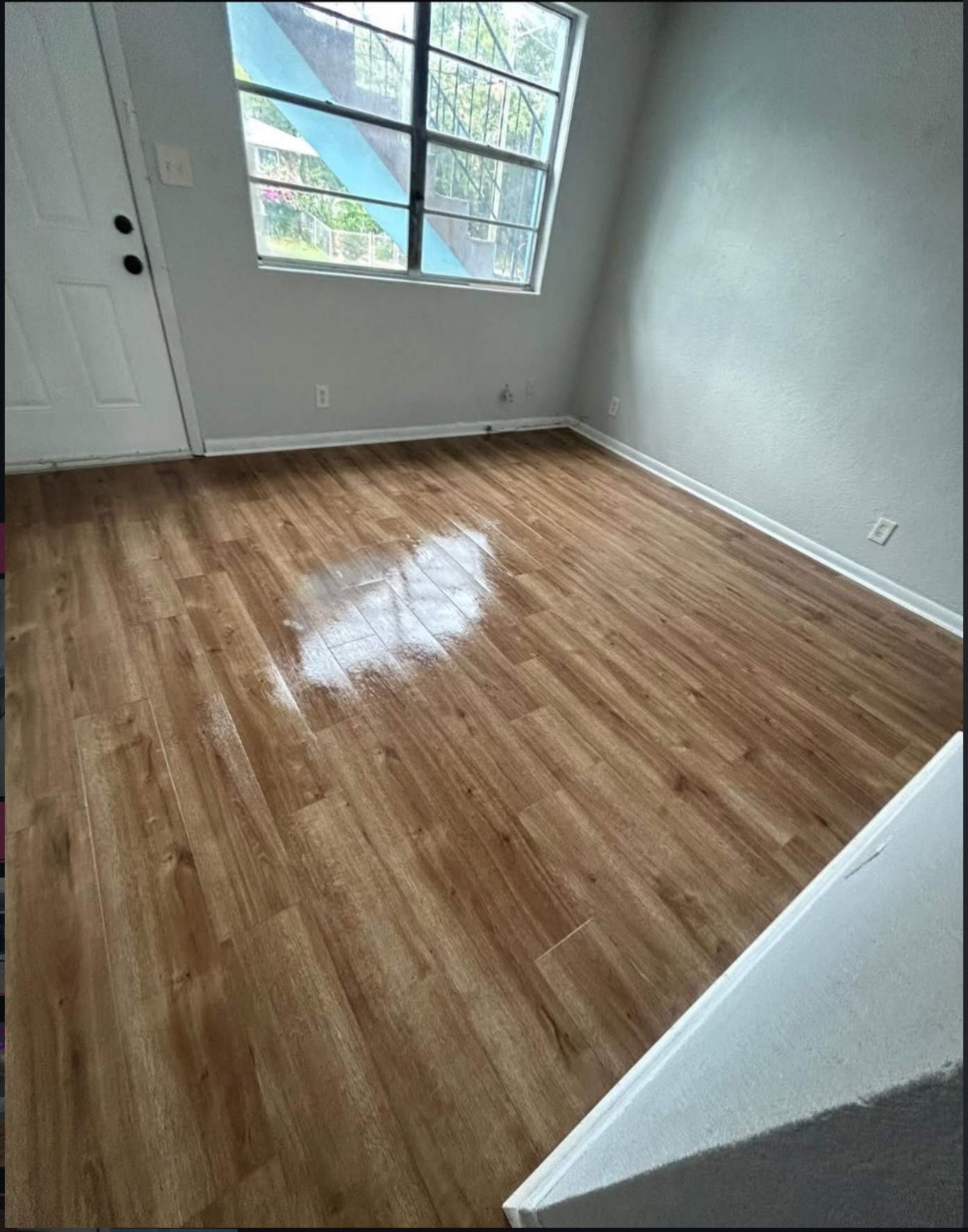 Empty room with freshly mopped wood-look flooring reflecting light from the window